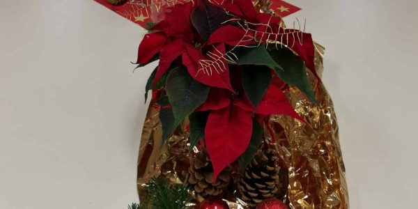 2019 Weihnachtsfeier