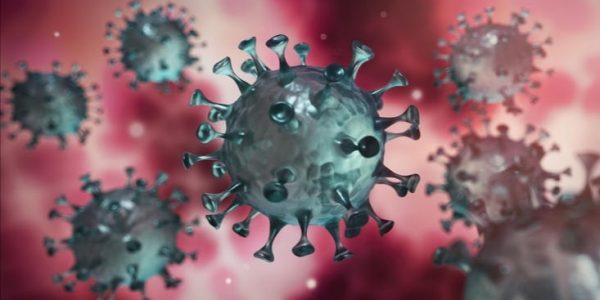 CFB7B6C5-2CFB-4DAD-8307-AA8CDFEB3AA4